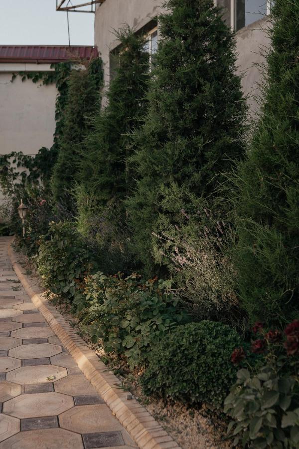 Casa De Higos Bed & Breakfast Samarkand Luaran gambar